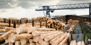 lumber industry has many different cost savings opportunities